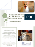 Enriquecimiento ambiental para prevenir el estrés felino