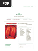 Tomates Como Plantar