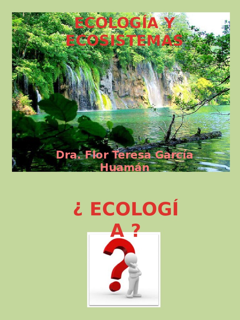 Introducción a la Ecología y Ecosistemas | PDF | Ecosistema | Selva