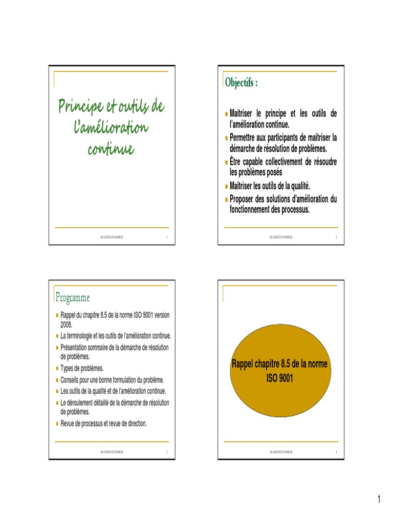 Outils et principes de l'amélioration continue | PDF | Management de la ...