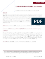DPPH proceso general.pdf