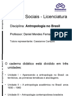 Antropologia No Brasil
