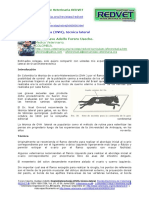 OVH tecnica lateral.pdf