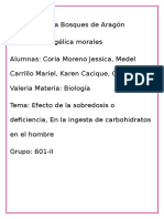 En Este Trabajo Hablaremos de Los Efectos de La Sobredosis o Deficiencia