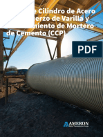 CCP Spanish PDF