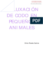 lux_cod_2004 (1).pdf