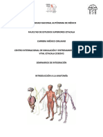 Manual Anatomía PDF
