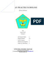 Laporan Praktikum Biologi (New)