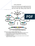 Gateway Cloning System