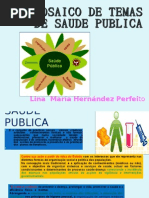 Apresentação1 SAUDE PUBLICA LINA PERFEITO