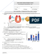 4.º Teste 6.º Ano CN.doc