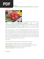Download Buah Naga by Ismi Sofia SN326032494 doc pdf