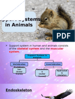 Support Systems in Animals