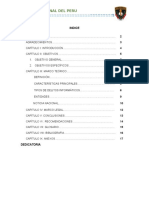 Monografia Delitos Informaticos