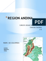 REGION ANDINA.pptx