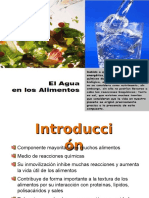 El Agua en Los Alimentos 