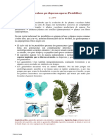 13 14 Pteridofitos Texto PDF