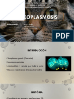 Toxoplasmosis