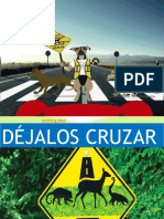DEJALOS CRUZAR.pptx
