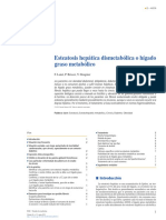 Esteatosis Hepatica