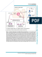 Expert Reviews: Oropharynx Tonsillar Region