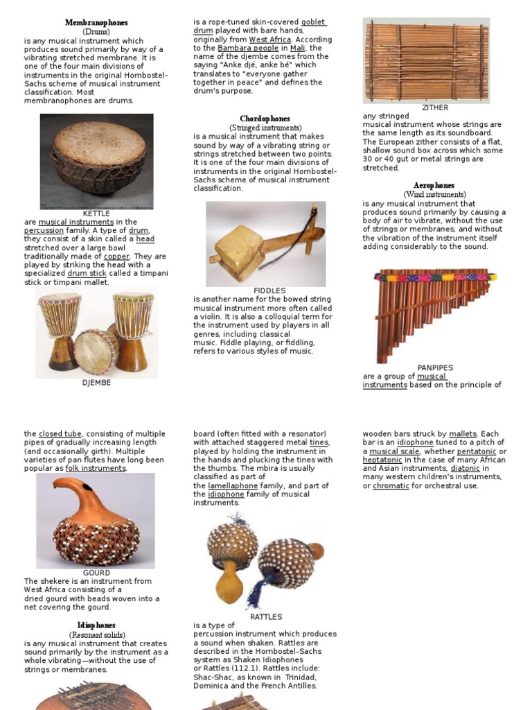 AFRICAN MUSICAL INSTRUMENTS Brochure | PDF | Musical Instruments | String  Instruments
