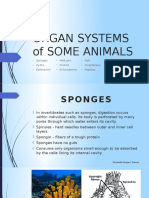Organ Systems of Some Animals
