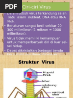 Makalah Etha Tentang Sistem Pencernaan Pada Hewan