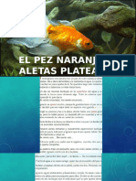 El Pez Naranja de Aletas Plateadas