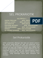 Sel Prokariotik Kelompok 3