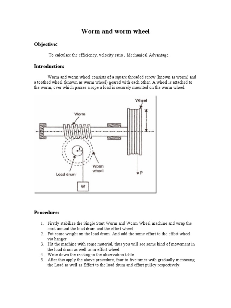 Worm and Worm Wheel Machines Applied And Interdisciplinary Physics