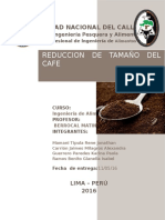 REDUCCION DE PARTICULAS DL CAFE.docx
