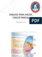 Dibujos para Hacer, PDF