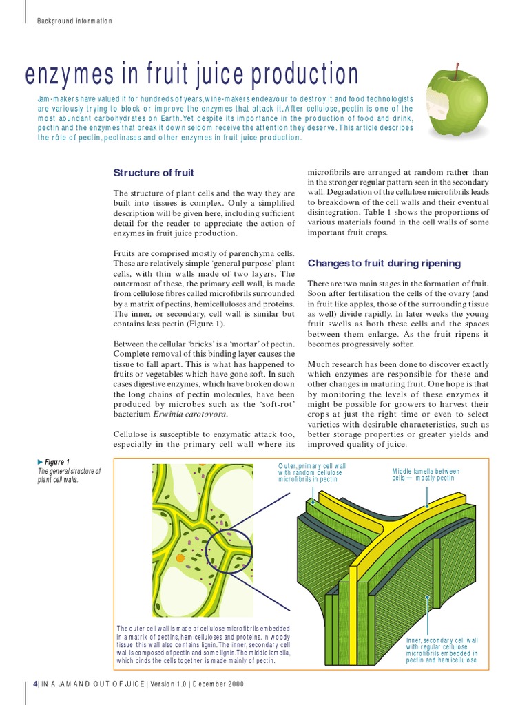 Enzymes in Fruit Juice Production | PDF | Cell Wall | Juice