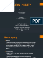 CSS - Burn Injury