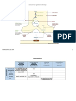 Adrenergico PDF