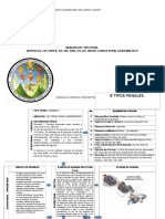 Tipos Penales 132, 201, 252, 293, 332, 375, 421, 460 Dany Alexander Pop Sacbá