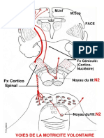 anatomieIII PDF