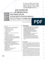 Ciclo Vital de La Familia PDF