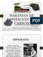 Teoria de Waksman