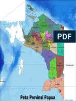 Peta Kabupatenkota Provinsi Papua