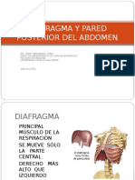 Diafragma y Pared Posterior Del Abdomen (2013)