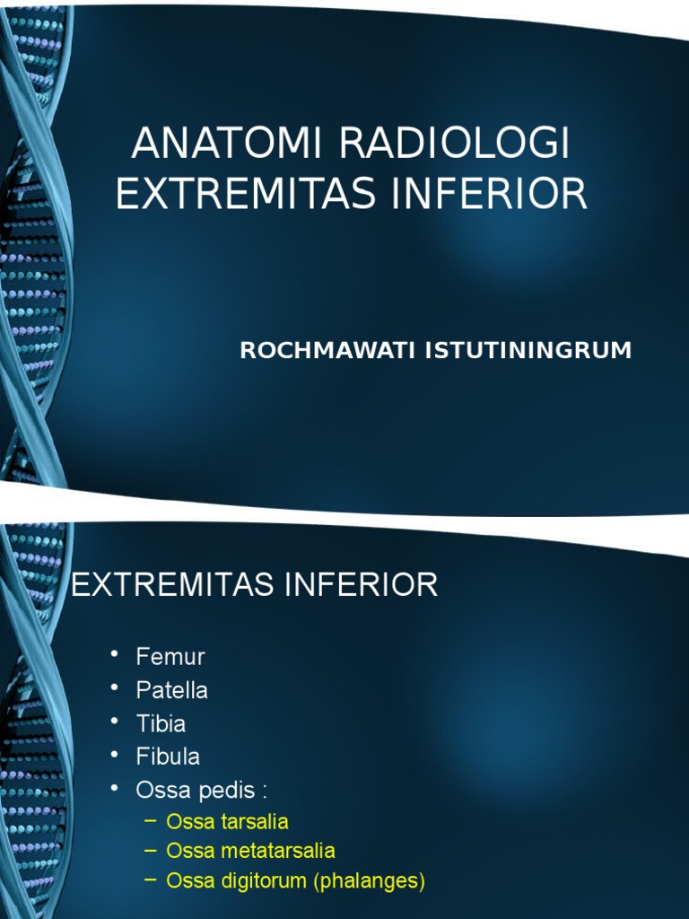 Radiologi Anatomi Extremitas Inferior | PDF