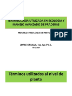 Terminologia Pasturas