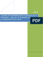 Estudio de Factibilidad para La Apertura de Un Gimnasio Bueno