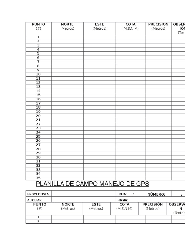 Planilla GPS HOJAS | PDF