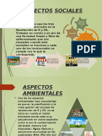 Aspectos Sociales y Ambientales de La Recoleccion de RyDS.