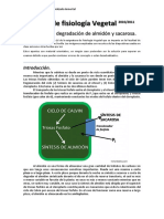 Tema16fisiovegetal Sintresis Del Almidon