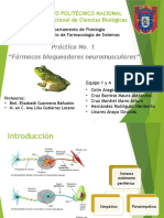 P1.FarmacologiaDeSistemas.seminario Final