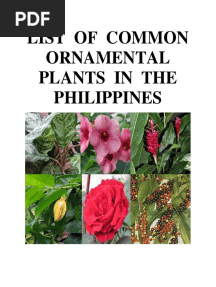 List of Common Ornamental Plants in The Philippines